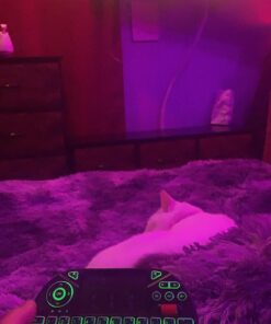 Mini Keyboard,Rii X8 Portable 2.4GHz Mini Wireless Keyboard Controller with Touchpad Mouse Combo,8 Colors RGB Backlit,Rechargeable Li-ion Battery for Google Android TV Box, PS3, PC, Pad,Nvidia Shield 48 81M6laSVWNL