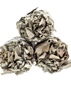 Alternative Imagination Premium California White Sage Smudge Sticks (9 Inch), 3 Pack, Packaged in USA Large 19 81M8O4NfXL