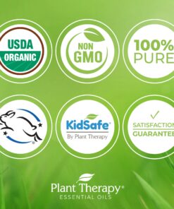 Plant Therapy USDA Certified Organic Spearmint Essential Oil 10 mL (1/3 oz) 100% Pure, Undiluted, Therapeutic Grade 0.34 Fl Oz (Pack of 1) 14 81MB3UW0SzL