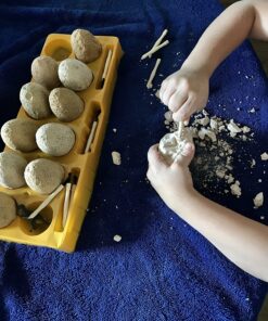 Dig a Dozen Dino Egg Dig Kit for Kids - Dinosaur Toys Gift 3-12 Year Old - 12 Eggs & Surprise Dinosaurs - Science STEM Activities - Educational Boy Toy Party Gifts for Boys & Girls Ages 3-5 4-7 5-7+ 57 81MCabAsnWL