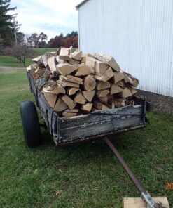 Greenworks 40V 16" Brushless Cordless Chainsaw (Great For Tree Felling, Limbing, Pruning, and Firewood / 75+ Compatible Tools), 4.0Ah Battery and Charger Included 16" (4.0Ah) Gen 1 47 81MEUKNqk2L