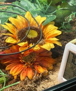 Inkbird Thermometer and Hygrometer Smart Sensor Data Logger with Waterproof External Probe Magnet Alert for Android and iOS Used for Food Storage Brewing Reptiles Instrument IBS-TH1. IBS-TH1+Probe. 39 81MFwKGcjDL