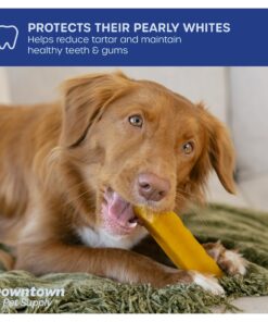 Downtown Pet Supply Yak Cheese Himalayan Dog Chews (1 lb) - 100% Natural, 3 Ingredients, USA Packed - Protein & Calcium Rich Dog Treats for Small to Large Dogs - Long Lasting Rawhide Free Yak Chews 1.00 Pound (Pack of 1) 26 81MGequtMBL