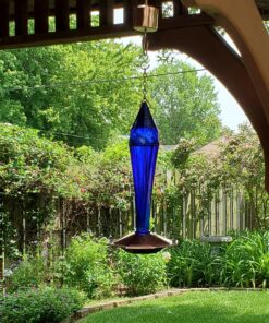 Skinny Ant Moat with Guard for Hummingbird Feeders - Gets Rid of Ants Fast in Nectar Feeder. All Natural & No Chemicals Needed. 43 81MH4VNtZDL