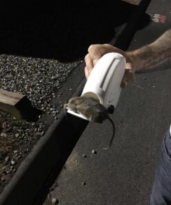 Tomcat Kill & Contain Mouse Trap, Never See a Dead Rodent Again, 2 Traps Kill and Contain Mouse Trap 25 81MHi925TL 2