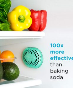 remodeez Refrigerator Deodorizer Eliminator, Nontoxic Coconut, Activated Charcoal, Natural Air Fresheners, Moisture & Odor Absorber for Fridge (Green) 18 81MIPmb5cVL