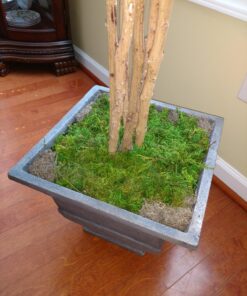Luster Leaf Spanish Moss-350 Cubic Inches 1220, 350 cuin 350 cuin. 8 81MOqBmCqoL