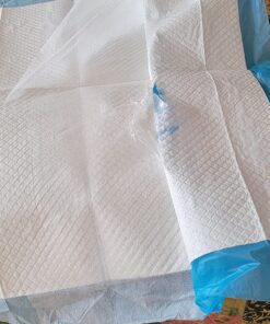 Ultra Absorbent Odor Control Training Pads For Dogs Leak-proof Quick Dry Gel – Extra Large 30 x 28 Pee Pads - Fresh Scented - 50 Count, Pack of 1 XL 30" x 28" - 50 Count, Pack of 1 31 81MPIMAiOeL