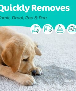 Alternative view of Pet Stain & Odor Remover, Enzyme Cleaner, Pet Odor Eliminator, Best Carpet Stain Remover, Odor Neutralizer, Cat Urine Smell Cleaner - Sunny and Honey, 1 Gallon Spring Mint Scent 128 Fl Oz (Pack of 1)