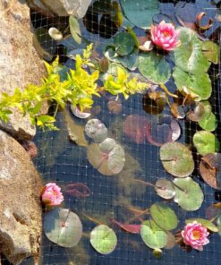 Alternative view of GreenClean pH DOWN Granular - 1 lb - pH Adjuster for Koi Ponds and Water Features. Safe for Fish, Plants, Pets and Wildlife. pH Adjuster -DOWN