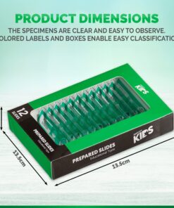 AMSCOPE-Kids 48pcs Kids Plastic Prepared Microscope Slides of Animals Insects Plants Flowers Sample Specimens for Stereo Microscopes 9 81MWbp4OhUL