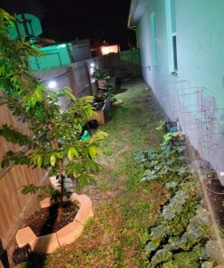 Luposwiten Solar Lights Outdoor Waterproof 100 LED Solar Powered Outdoor Lights, Motion Sensor Outdoor Lights for Front Door, Yard, Garage, Garden, Patio, Deck (4 Pack) 43 81MXn0xehQL