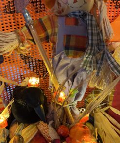 PREXTEX 6pcs Black-Feathered Small Crows Halloween Decorations | Outdoor&Indoor Decor | Fake Bird, Halloween Birds, Scary Ravens, Decorative Crows, Raven | Home, Fence, Porch, Tree, Party Decoration 44 81MZPTcEXRL