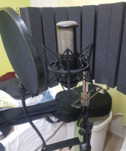 Nady MPF-6 6-Inch Clamp On Microphone Pop Filter with Flexible Gooseneck and Metal Stabilizing Arm Pop Filter with Stablizing Arm 34 81MaCeakUOL