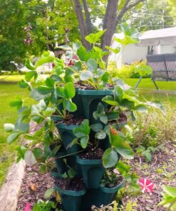 Mr. Stacky 1305-HG 5-Tier Stackable Strawberry, Herb, Flower, & Vegetable Planter - Vertical Gardening Indoor / Outdoor Stacking Garden Pots Hunter Green, 22.5 Quarts 19 81Mc7H9QZL