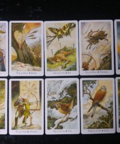 The Wildwood Tarot Deck: Wherein Wisdom Resides (Modern Tarot Library) 62 81McReMM6BL