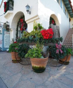 Rokinon 14mm F2.8 Full Frame Auto Focus Lens for Sony E-Mount, Black (IO14AF-E) 39 81McbuqncYL