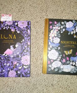 Nightfall Coloring Book: Originally Published in Sweden as "Skymningstimman" 50 81Md0PJJ1iL
