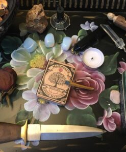 Palo Santo Incense Match Sticks | Palo Santo Wood Sticks Peruvian “Holy Wood” ● Smudging, Energy Clearing, Stress Relief, Relaxation, Healing, Meditation from Peru 1 34 81MeiJfARDL