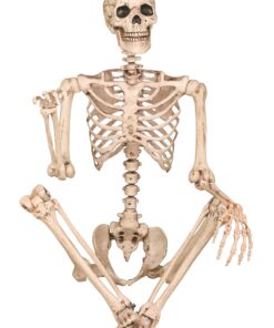 Crazy Bonez Pose-N-Stay Skeleton Original Pose-N-Stay 36 81Mf7xVzgqL