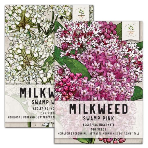 Seed Needs, Swamp Milkweed Seed Packet Collection (2 Varieties of Asclepias for Planting and Attracting Monarch Butterflies) Heirloom, Untreated & Open Pollinated