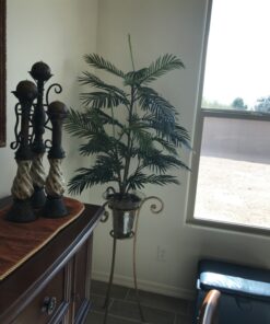 Nearly Natural 5263-0308 56in. Areca Palm Silk Tree with Basket, Green,30" x 32" x 56" 34 81MlOh7Me9L
