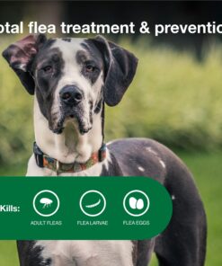 Advantage II XL Dog Vet-Recommended Flea Treatment & Prevention | Dogs Over 55 lbs. | 6-Month Supply 6-Pack 18 81MmLRiNoXL