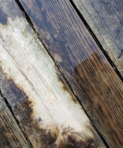 WM BARR WM BARR FG505 house-primers, 1-Gallon 31 81Mntba5w7L