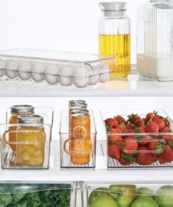 iDesign Plastic Egg Holder for Refrigerator with Handle and Lid, Fridge Storage Organizer for Kitchen, Set of 1, Clear 34 81Mp79tjQoL