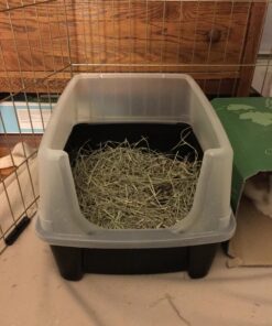 IRIS USA Open-Top Cat Litter Box with Shield and Scoop, Black Regular 47 81Mpknv5FL