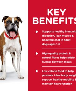 Hill's Science Diet Wet Dog Food, Adult, Light for Healthy Weight & Weight Management, 13 oz. Cans, 12-Pack 25 81MtZ58O6OL