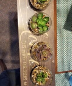 MyGift Assorted Artificial Succulent Fake Plant in Small Clear Glass Display Vases, Set of 4 30 81MuZLQcgyL