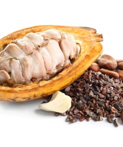 Organic Cocoa Butter 1 LB by Oslove Organics - FOOD GRADE, Raw, Non-Deodorized, Unrefined - For whipped body butter, lotion bars, scar & stretch marks | Delicous Home-made Chocolate | Allergen Free 1 Pound (Pack of 1) 17 81MvJqI8GML