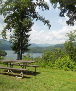 Nikon Coolpix L330 Digital Camera (Black) 16 81MwpGYxb1L