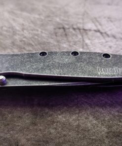 Kershaw Leek BlackWash Folding Pocketknife, 3" 14C28N Stainless Steel Blade, Assisted Opening Folding EDC 54 81MyyHo288L