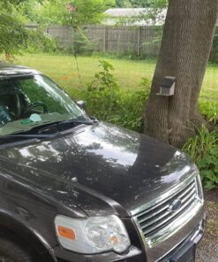 Rain-X RX30220 WeatherBeater Wiper Blades, 20" Windshield Wipers (Pack Of 1), Automotive Replacement Windshield Wiper Blades That Meet Or Exceed OEM Quality And Durability Standards 20" Single 19 81N0ZnYj4FL