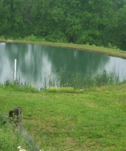 Jenlis The Original Weed Razer, Lake Weed Cutter, Large Pond Aquatic Plant Cutting Tool, Long and Sharp Razor Blades Shear Cattail, Reed, Lilly & Chara Algae, 48 Inch Cut Width, 25 Foot Throw Rope Jenlis Weed Razer Aquatic Weed Cutter 42 81N21MAjfUL