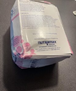 Nutramax Proviable Digestive Health Supplement Multi-Strain Probiotics and Prebiotics for Cats and Dogs - with 7 Strains of Bacteria, 80 Capsules 80 Count 31 81N2TcborOL