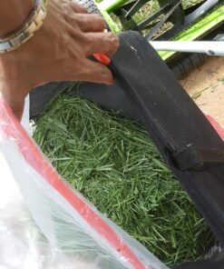 Greenworks 16-Inch Reel Lawn Mower with Grass Catcher 25052,Black/Green, 47"D x 22"W x 29.75"H 16" Reel Mower 66 81N3h4Dh5kL