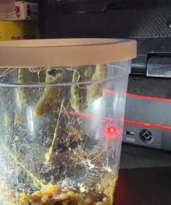 Painted Lady Butterfly Kit - Habitat, STEM Journal, & Voucher for Chrysalis Log & Caterpillars - Grow Your Own Butterfly Kit 47 81N3jsj5QvL 2