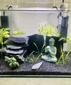 Tetra SafeStart Plus, For Newly Set-Up Fish aquariums, 100 ml, 3.38-Ounce 22 81N5sLds 9L