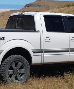 CravenSpeed Stubby Antenna Compatible with Ford F-150 2009-2023 | 3.2 Inches | Short Antenna Replacement | Made in The USA 51 81N6qcxmUNL