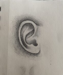 MozArt Mechanical Pencil Set with Case - 4 Sizes: 0.3, 0.5, 0.7 & 0.9mm with 30 HB Lead Refills Each & 4 Eraser Refills -Sketch, Drafting, Art, Drawing Supplies (Clear) Clear 77 81N72RM83HL