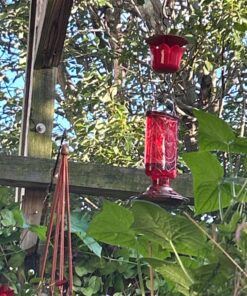 BOLITE Hummingbird Feeder, 18005 Glass Hummingbird Feeders for Outdoors Hanging, 5 Feeding Stations, 22 Ounces, Red Bottle, Xmas Gifts for Bird Lovers Red Elixir Bottle 46 81N7cxcItvL