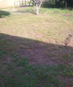 BLACK+DECKER 20V MAX String Trimmer, 2-Speed, 12-Inch, Cordless (LST522) 20V String Trimmer Kit 40 81N8EXrgdqL