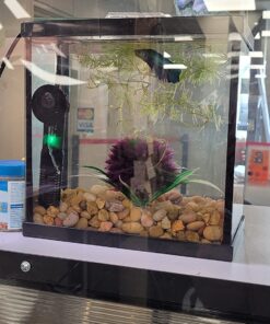 TetraBetta PLUS Floating Mini Pellets, Fish Food With Natural Color Enhancer, 1.2 ounces 1.2 Ounce (Pack of 1) 28 81N9WGTobeL