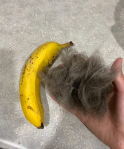 Paws & Pals Dog Brush - Gentle Soft Hair Rake Trimming Comb - Best for Shedding Dogs-Cats, Thick Long Short Haired Pet, Coat Grooming & Cat Hair Fur Removal - Self Cleaning - Deshedding Supplies 52 81NAheX5oGL