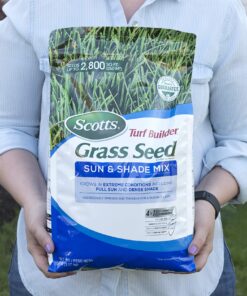 Scotts Turf Builder Grass Seed Sun & Shade Mix, Grows in Extreme Conditions & Spreads for a Durable Lawn, 7 lbs. 1 Pack 7 lb. 45 81NBuCcDLL 1