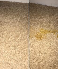 BUBBAS Super Strength Enzyme Cleaner - Pet Odor Eliminator - Carpet Stain Remover - Remove Dog & Cat Urine Odor from Mattress, Sofa, Rug, Laundry, Hardwood Floors and more. Puppy Training Supplies 128 Fl Oz (Pack of 1) 35 81NDENTL