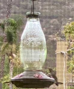 BOLITE 18001 Hummingbird Feeder, Glass Wild Hummingbird Feeders for Outdoors, Retro Edison Bulb Bottle, 25 Ounces, Green, Xmas Gifts for Bird Lovers Retro Bulb 41 81NDeqEokYL